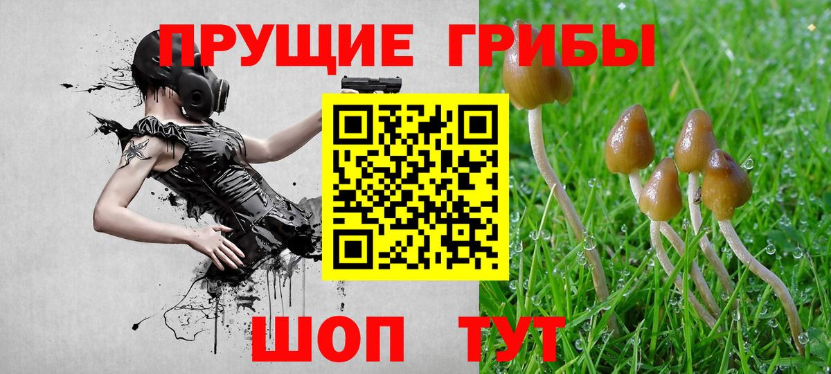 Можайск  Галлюциногенные грибы Cubensis  Псилоцибиновые грибы мухоморы  Вход с VPN 